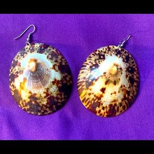 Seashell Earrings